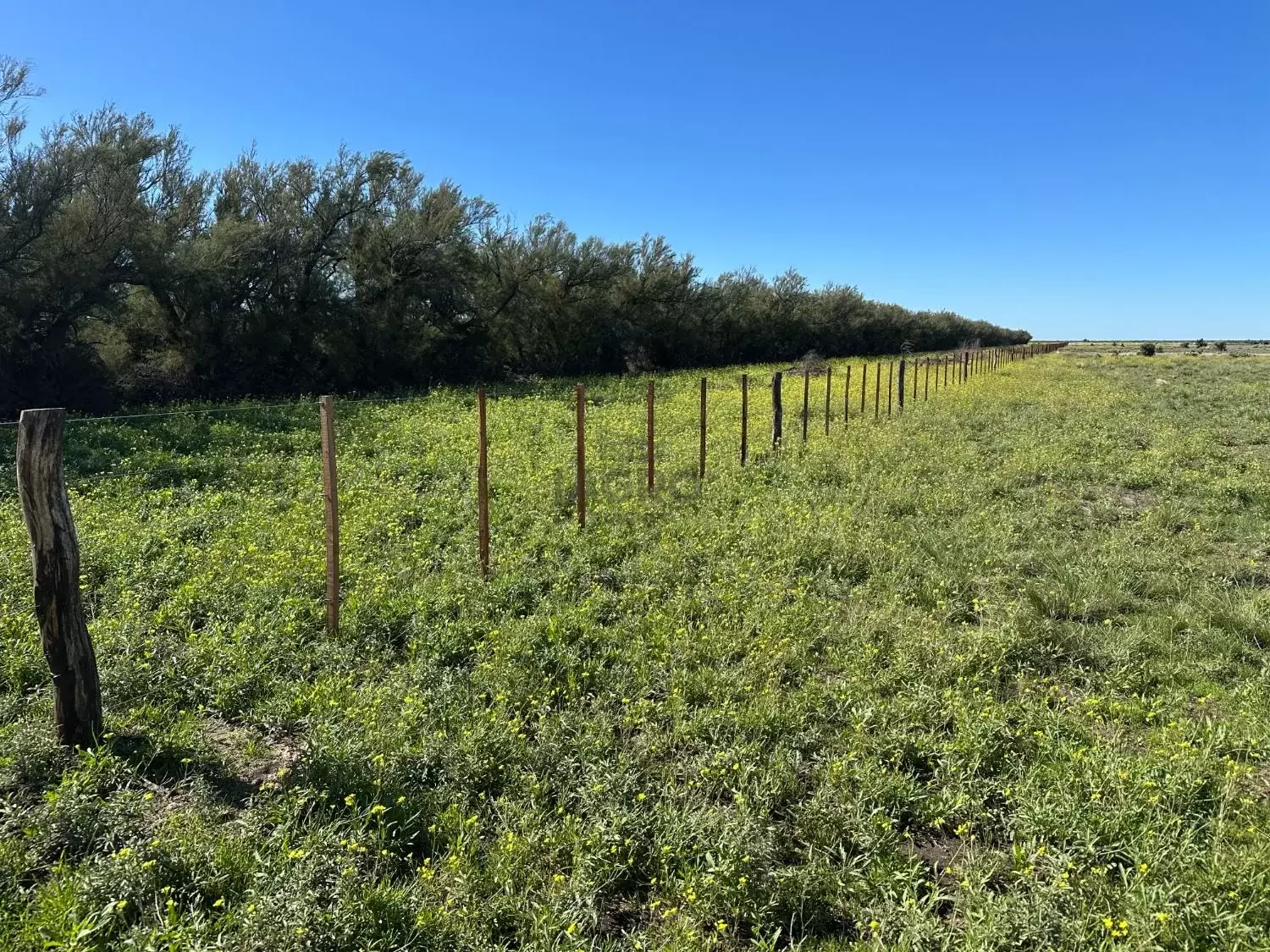 Galería de fotos #5