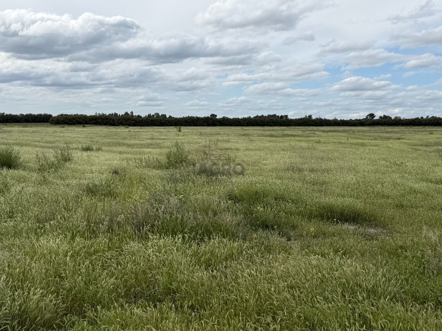 Galería de fotos #6