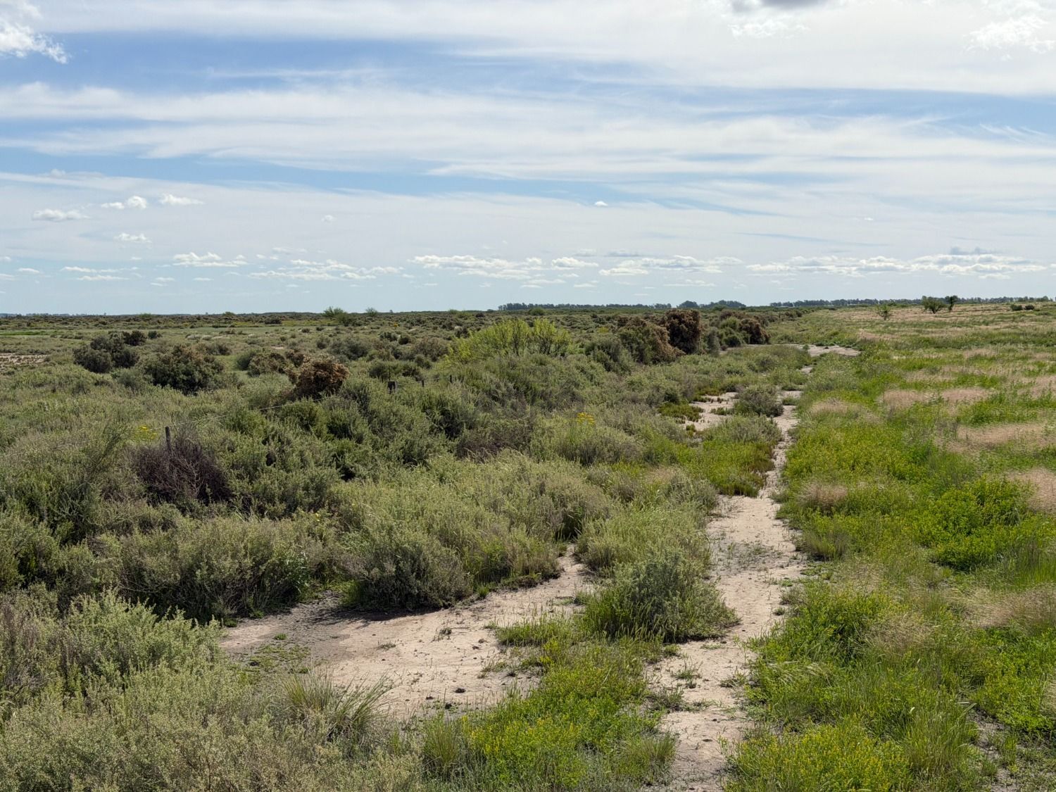 Galería de fotos #8