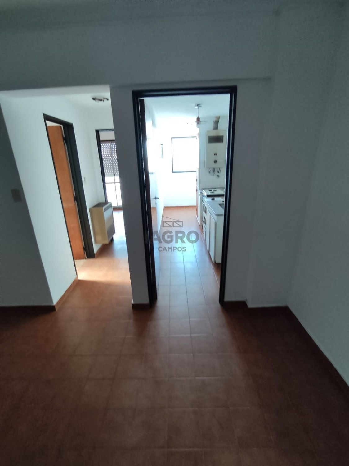 Galería de fotos #1