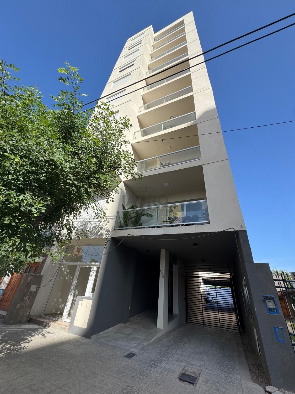 Galería de fotos #1