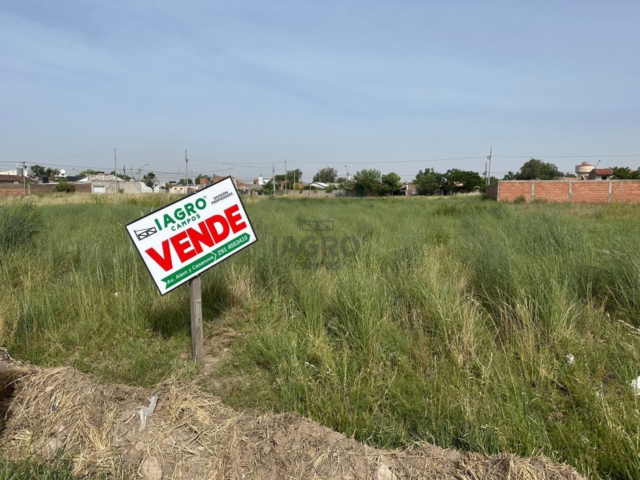 Galería de fotos #1