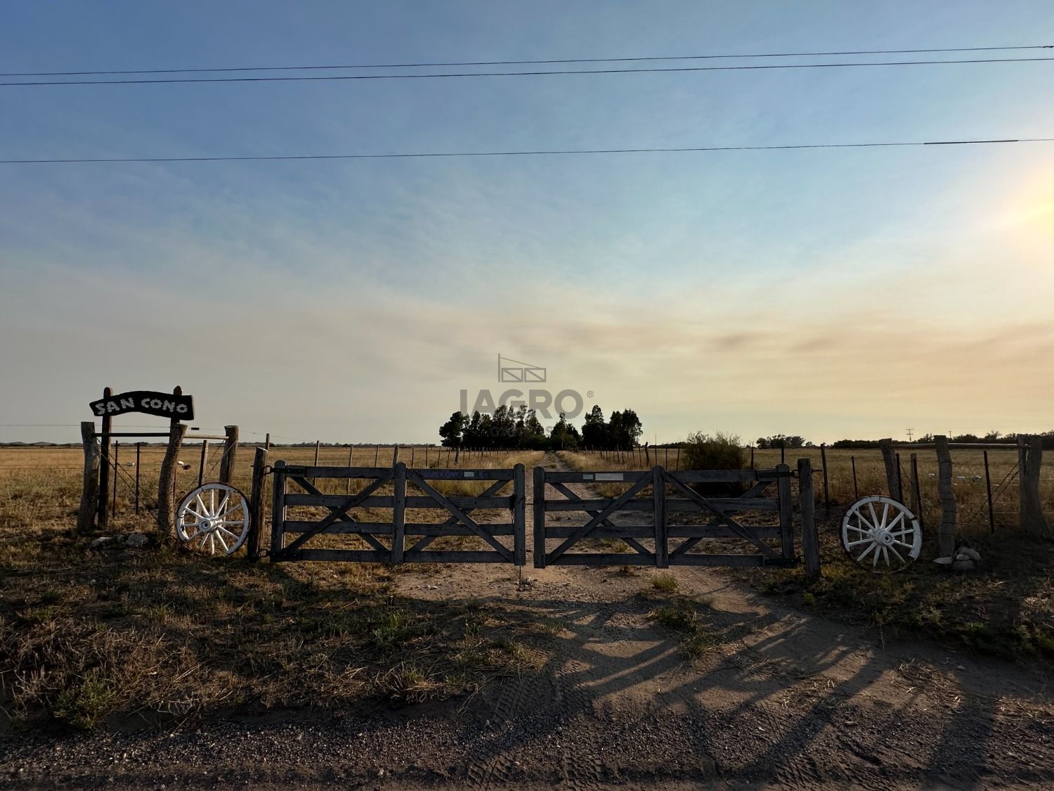 Galería de fotos #1