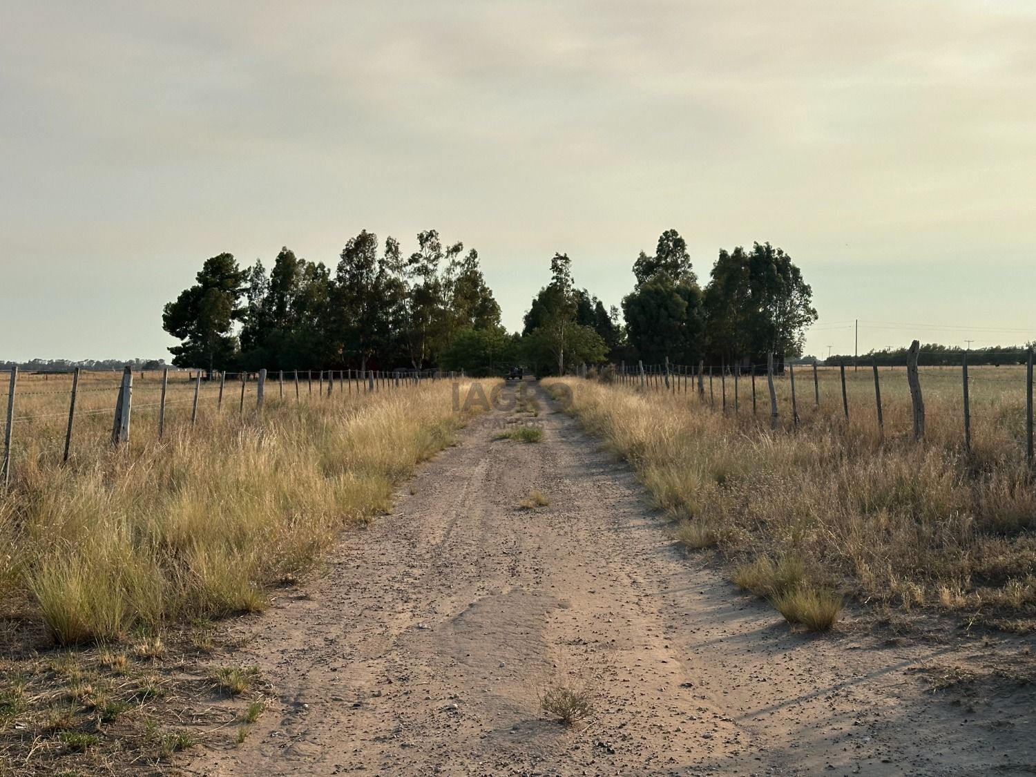 Galería de fotos #2