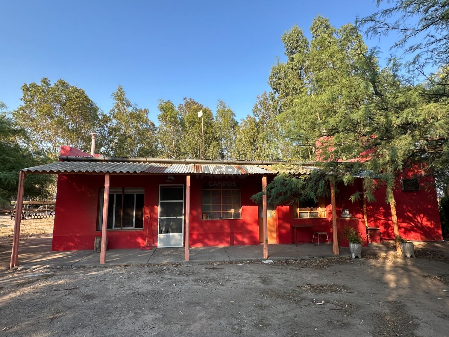 Galería de fotos #3