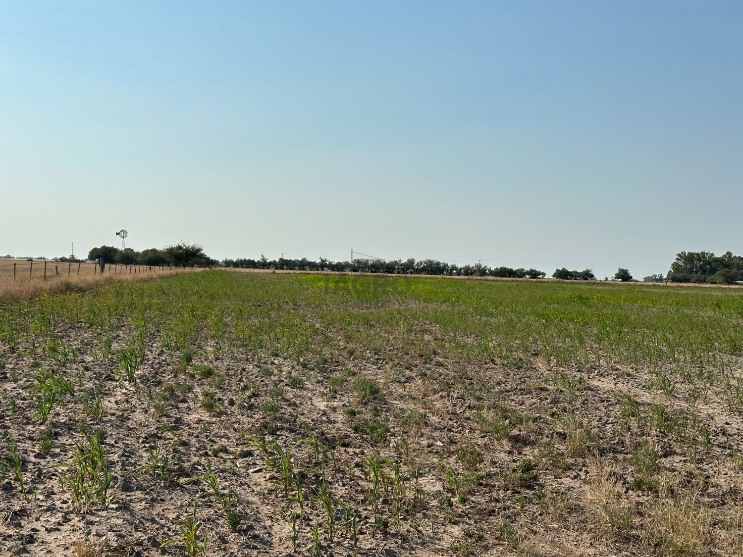 Galería de fotos #5