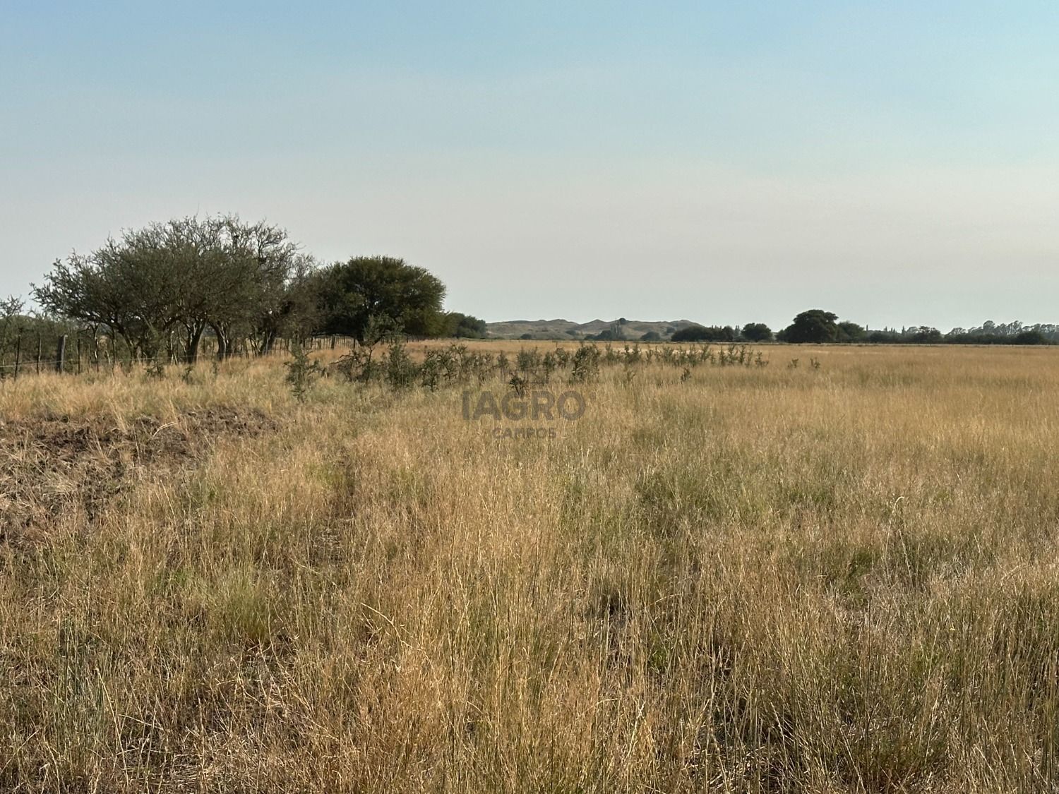 Galería de fotos #7