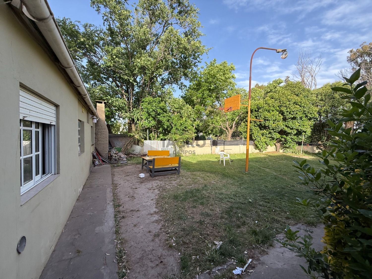 Galería de fotos #13