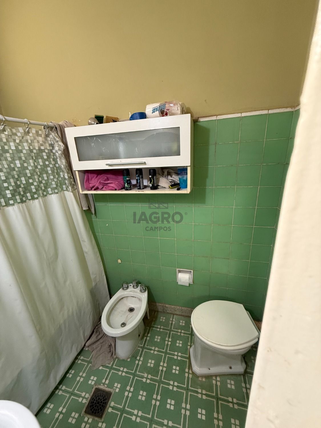 Galería de fotos #8