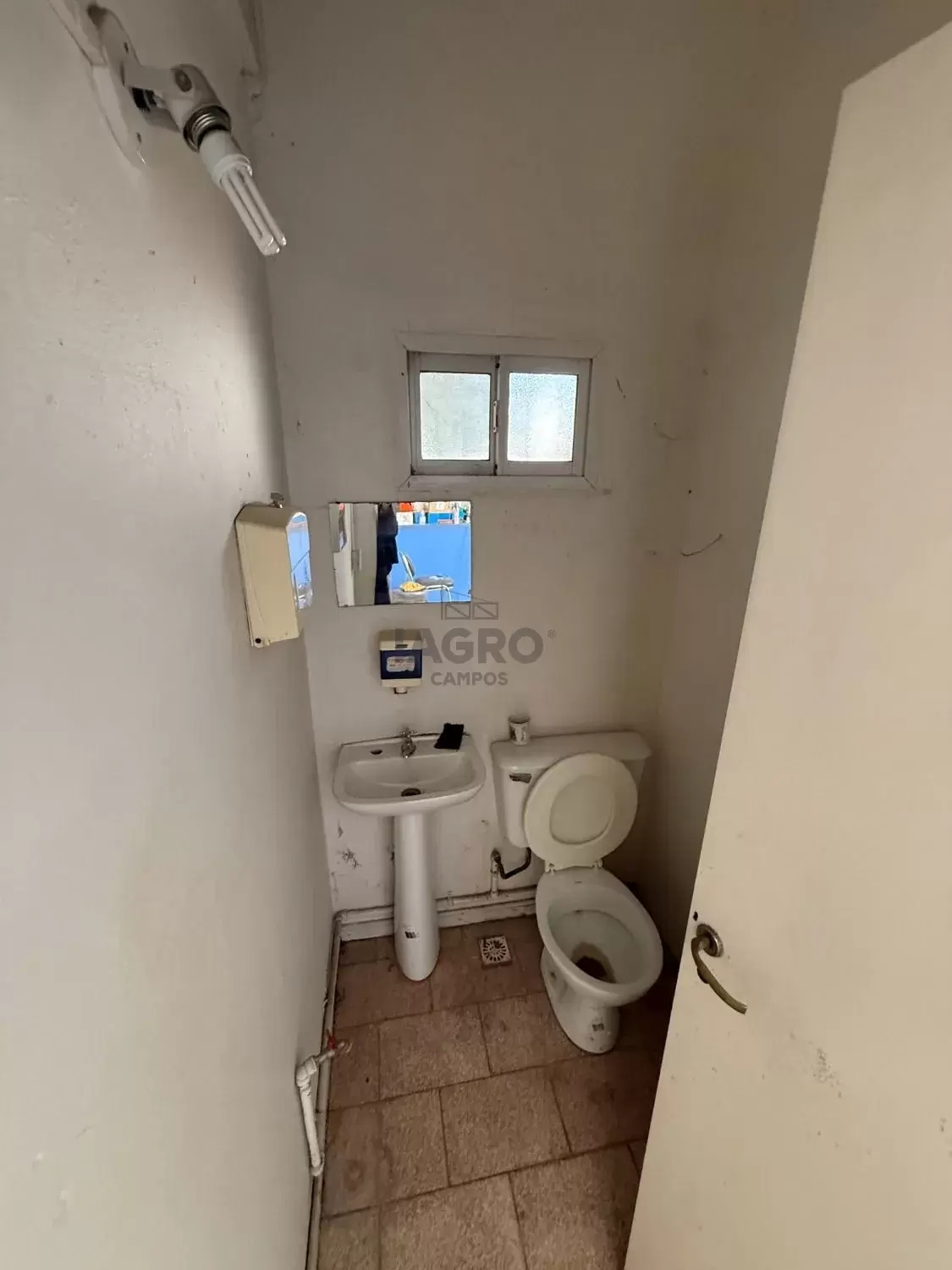 Galería de fotos #20