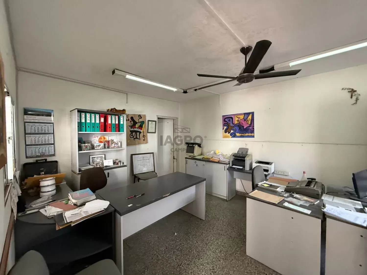 Galería de fotos #21