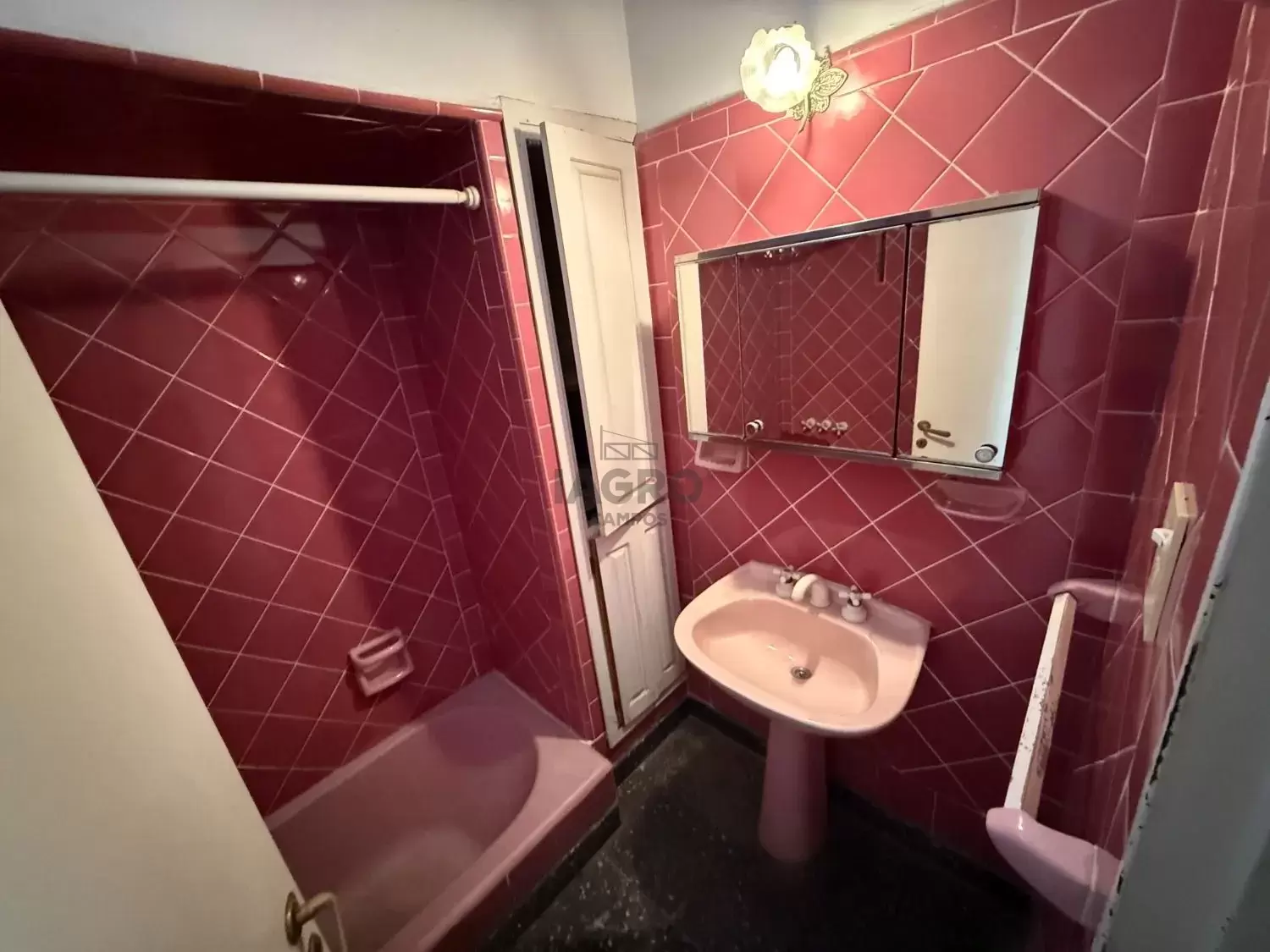 Galería de fotos #6