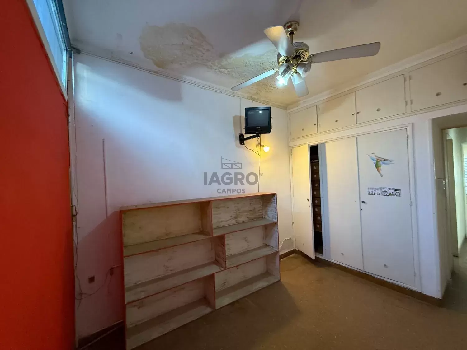 Galería de fotos #7