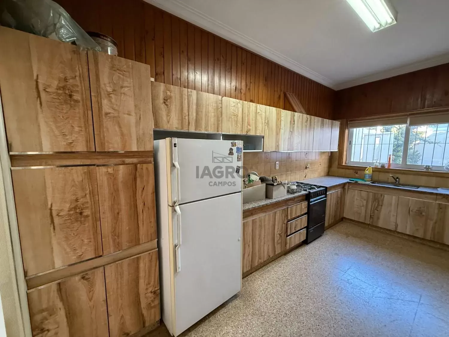 Galería de fotos #8