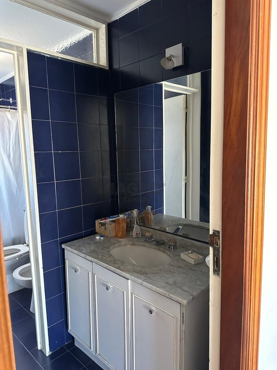 Galería de fotos #15