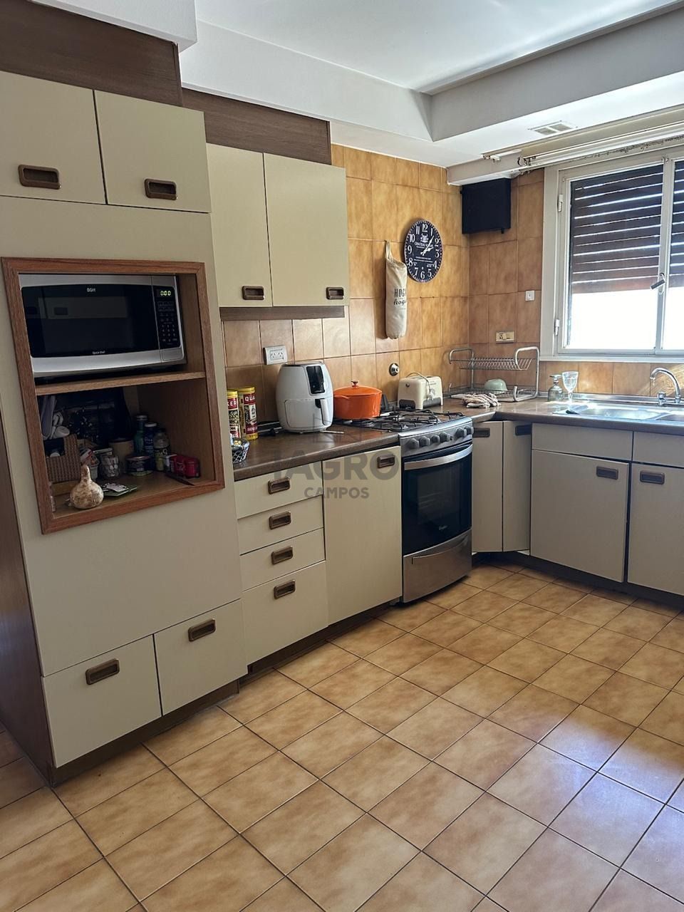 Galería de fotos #6