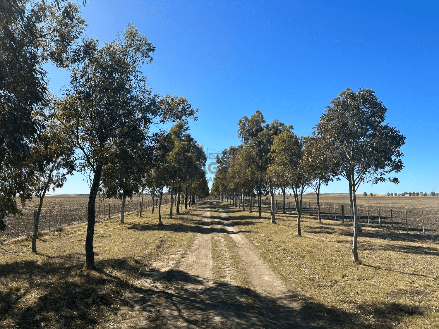 Galería de fotos #1