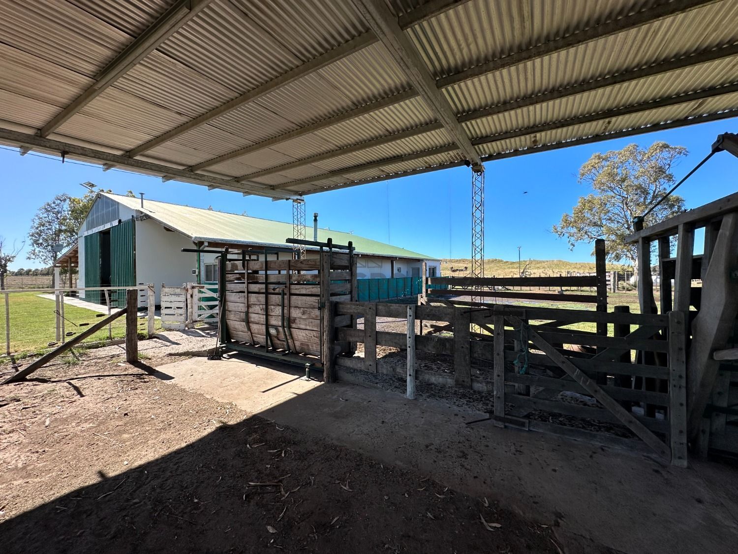 Galería de fotos #4