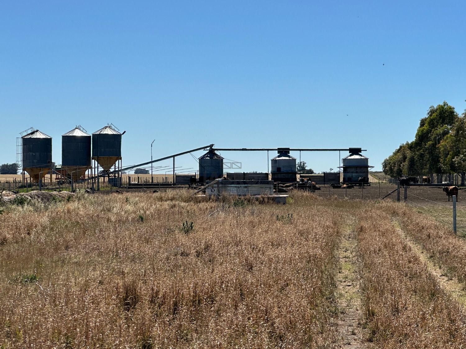 Galería de fotos #5