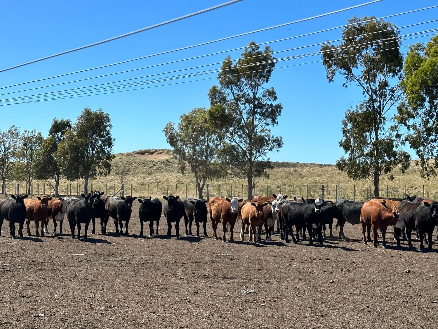 Galería de fotos #6