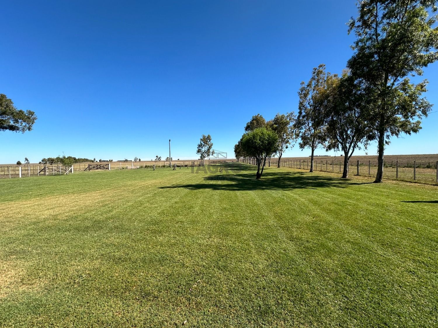 Galería de fotos #8