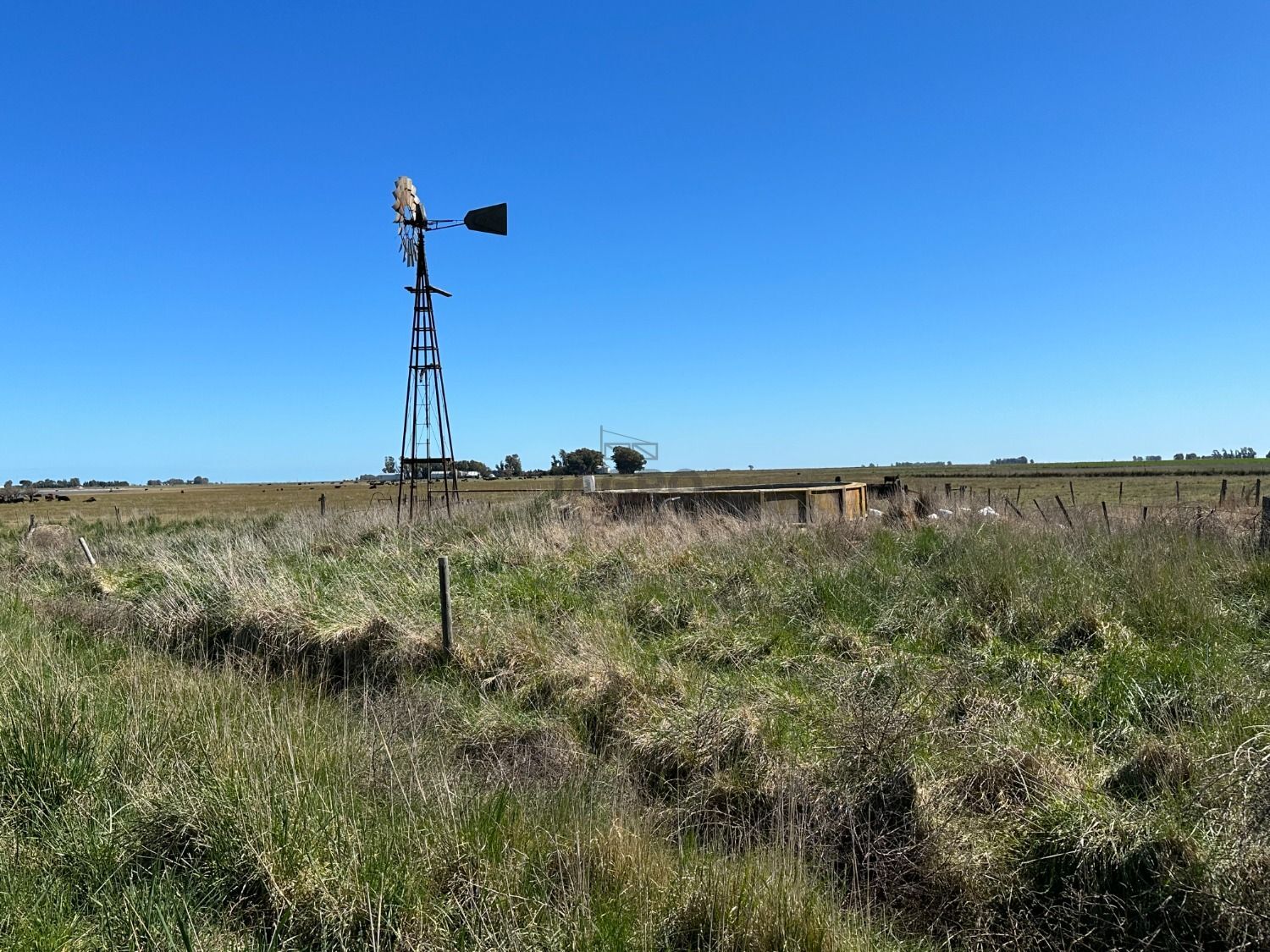 Galería de fotos #2