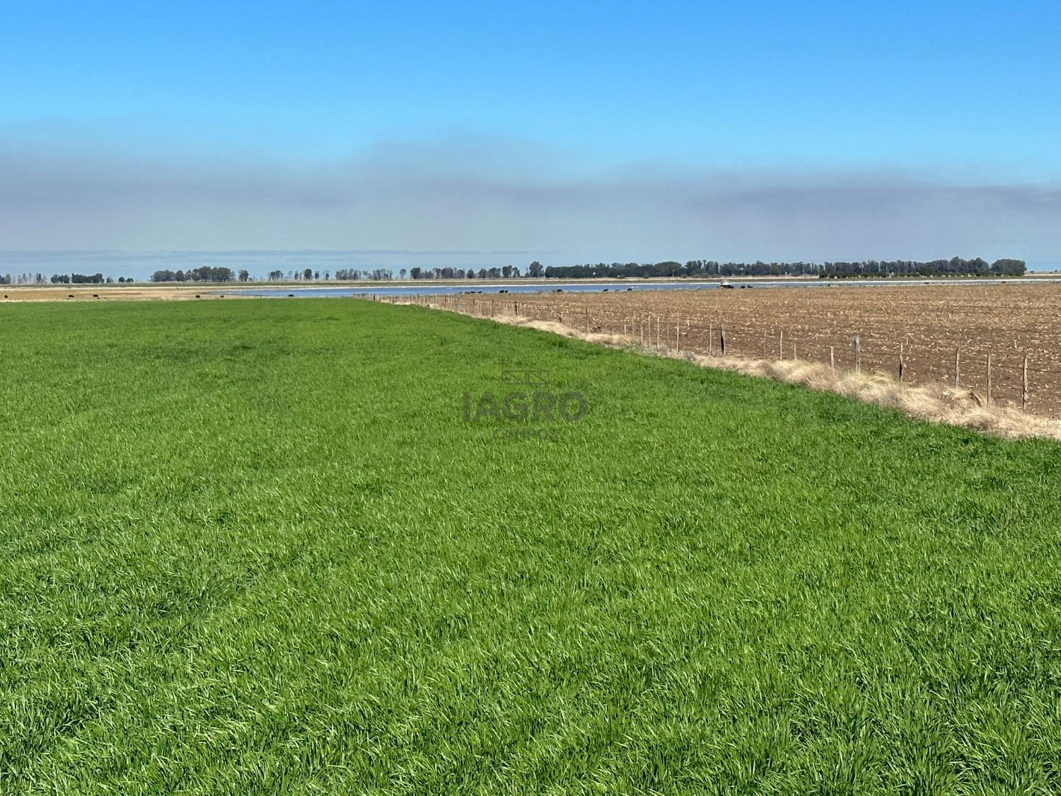 Galería de fotos #3