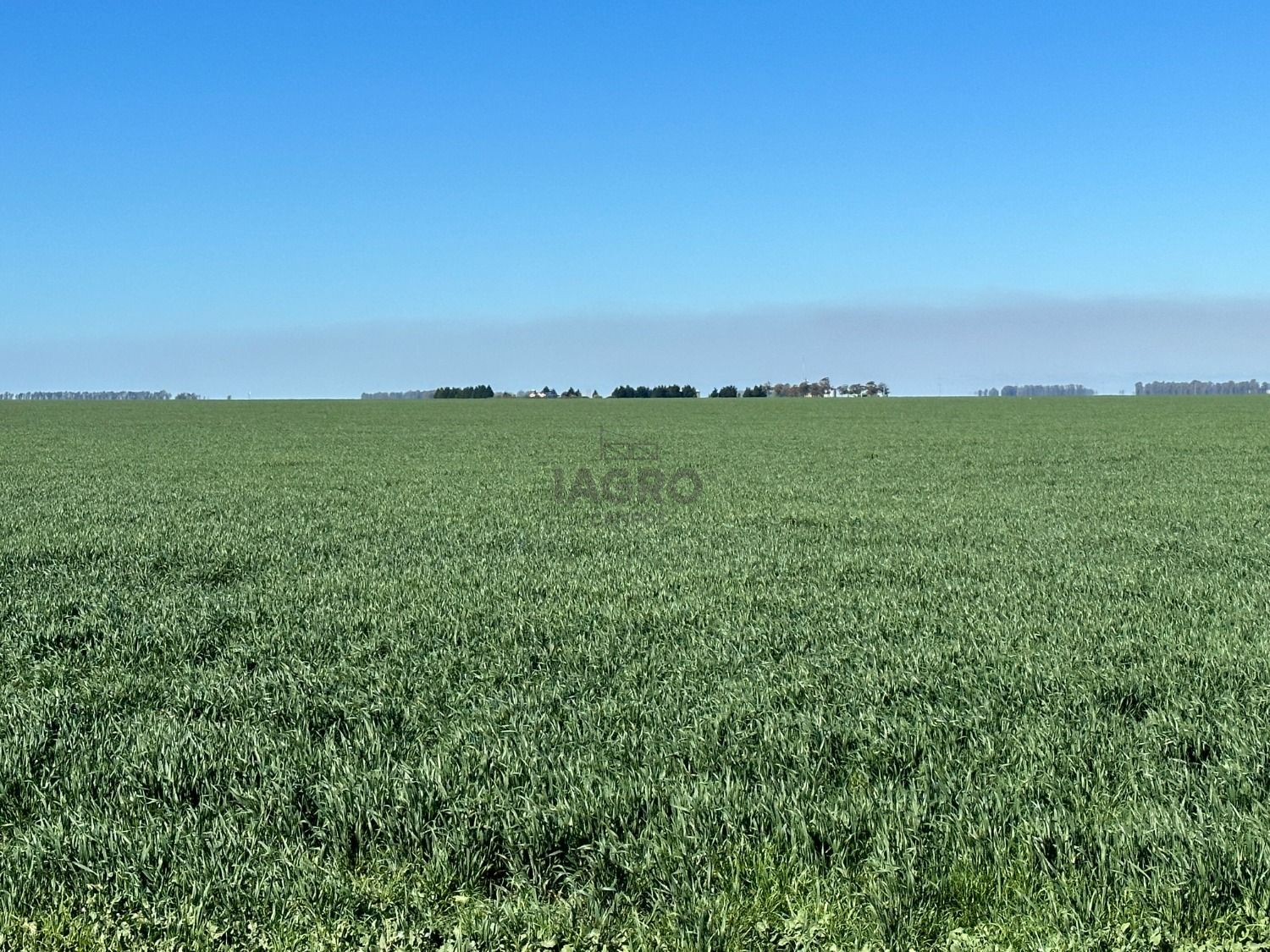 Galería de fotos #4