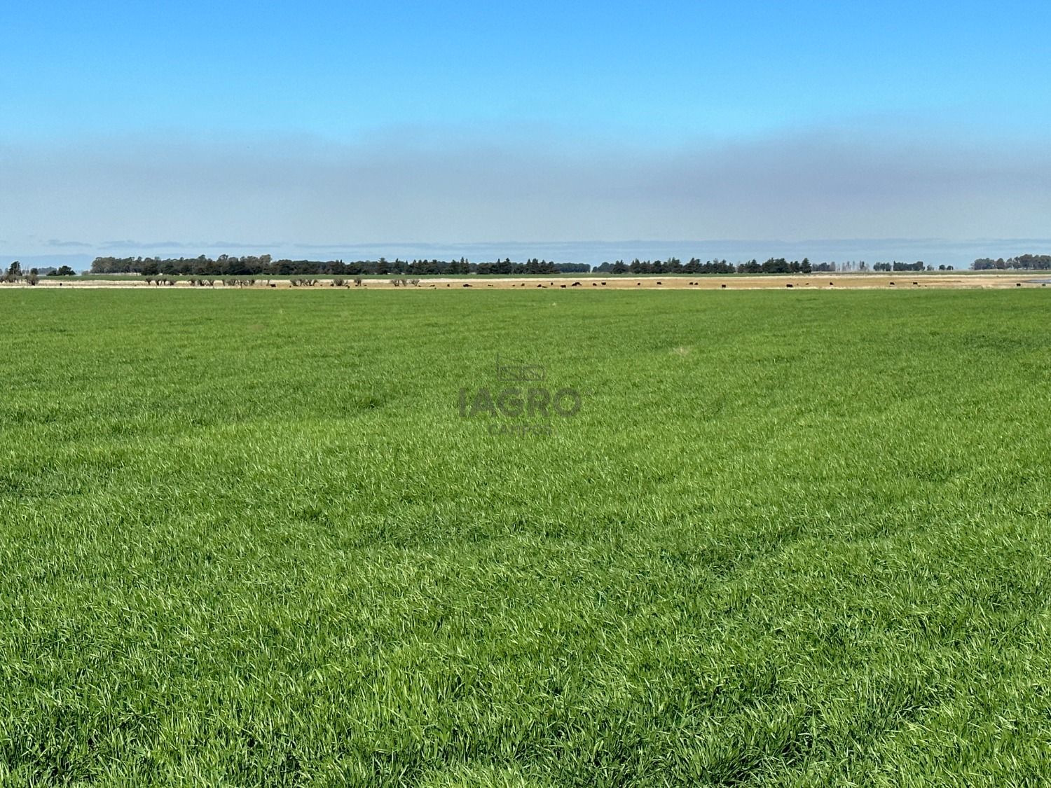 Galería de fotos #5