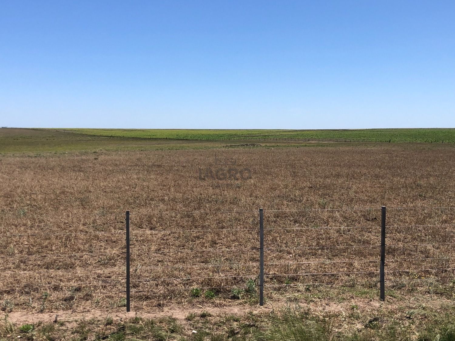 Galería de fotos #1