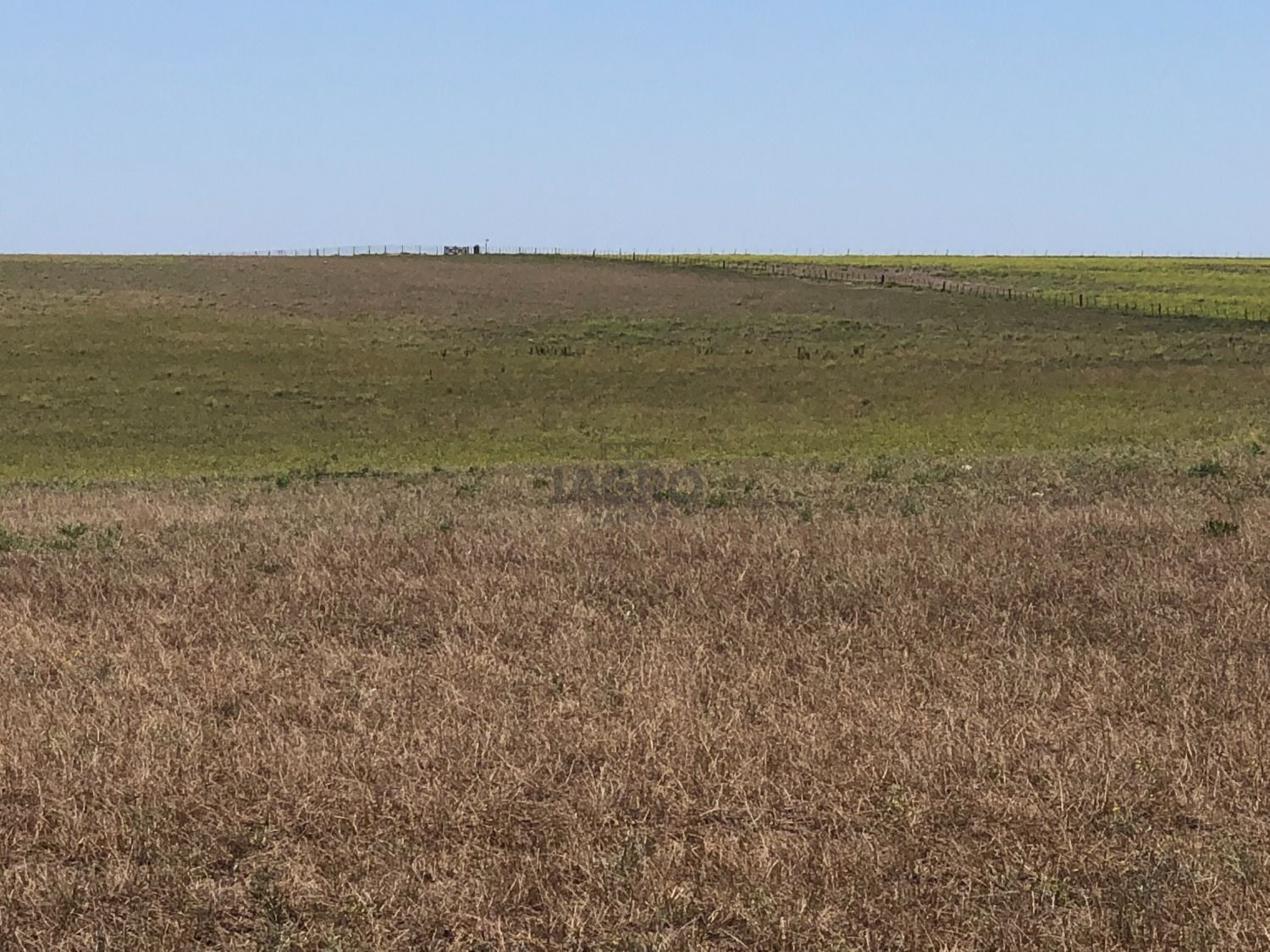 Galería de fotos #2