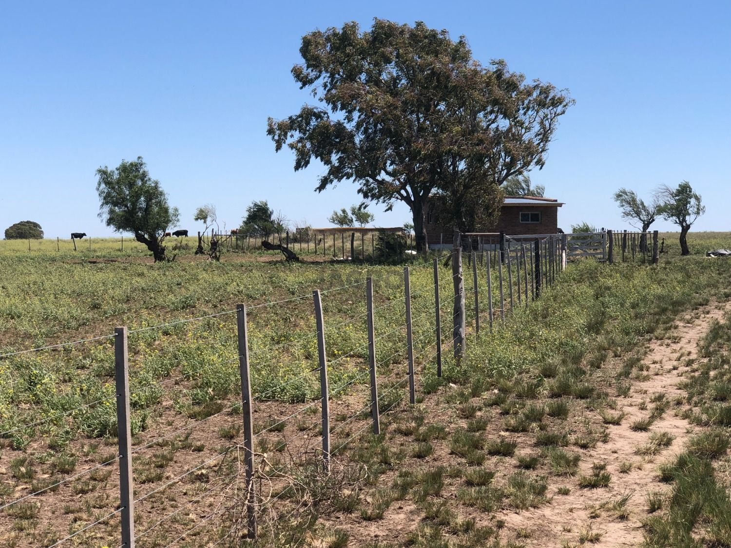 Galería de fotos #4