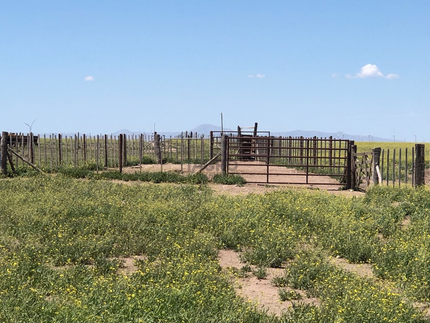 Galería de fotos #6