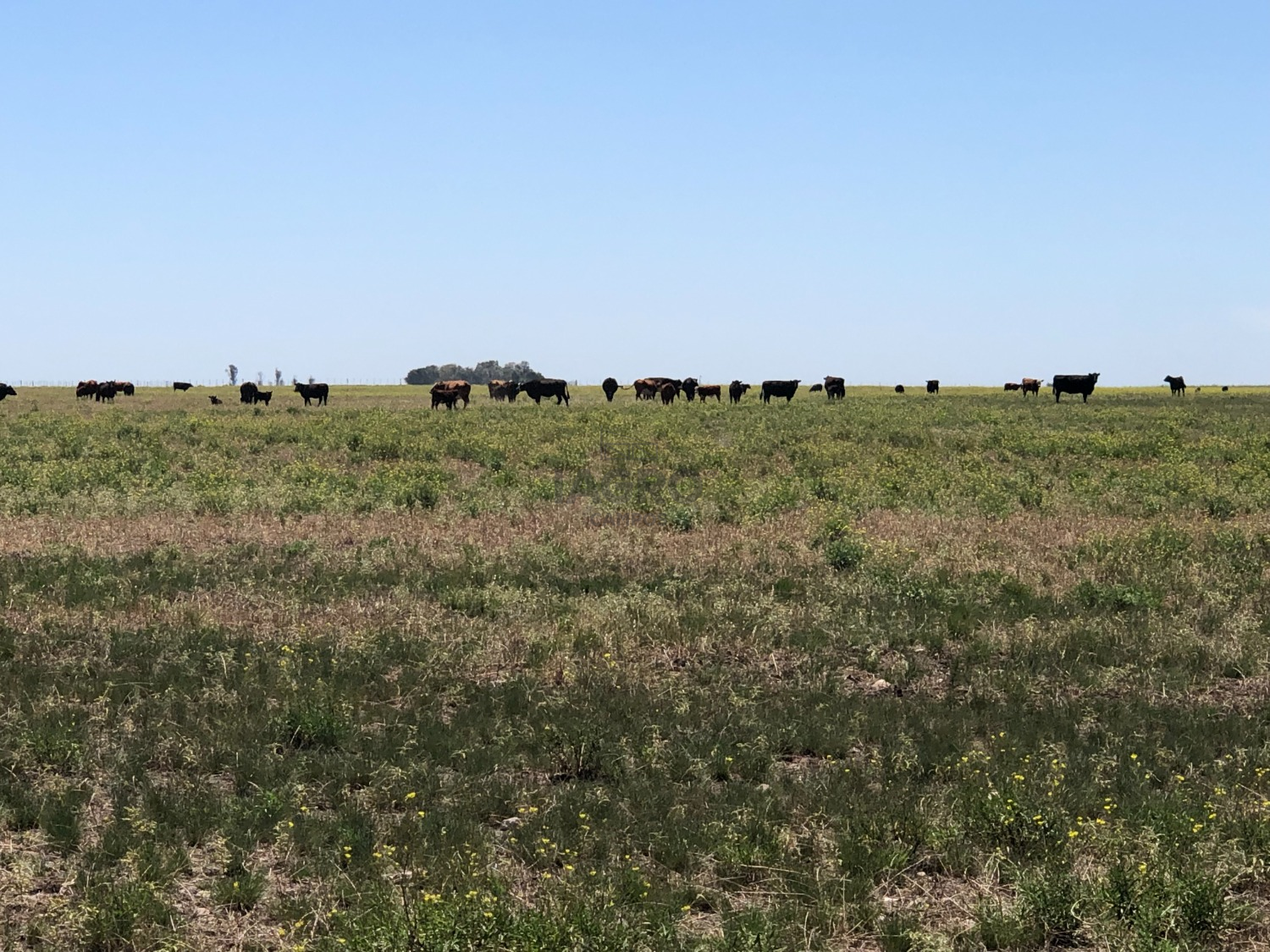 Galería de fotos #7