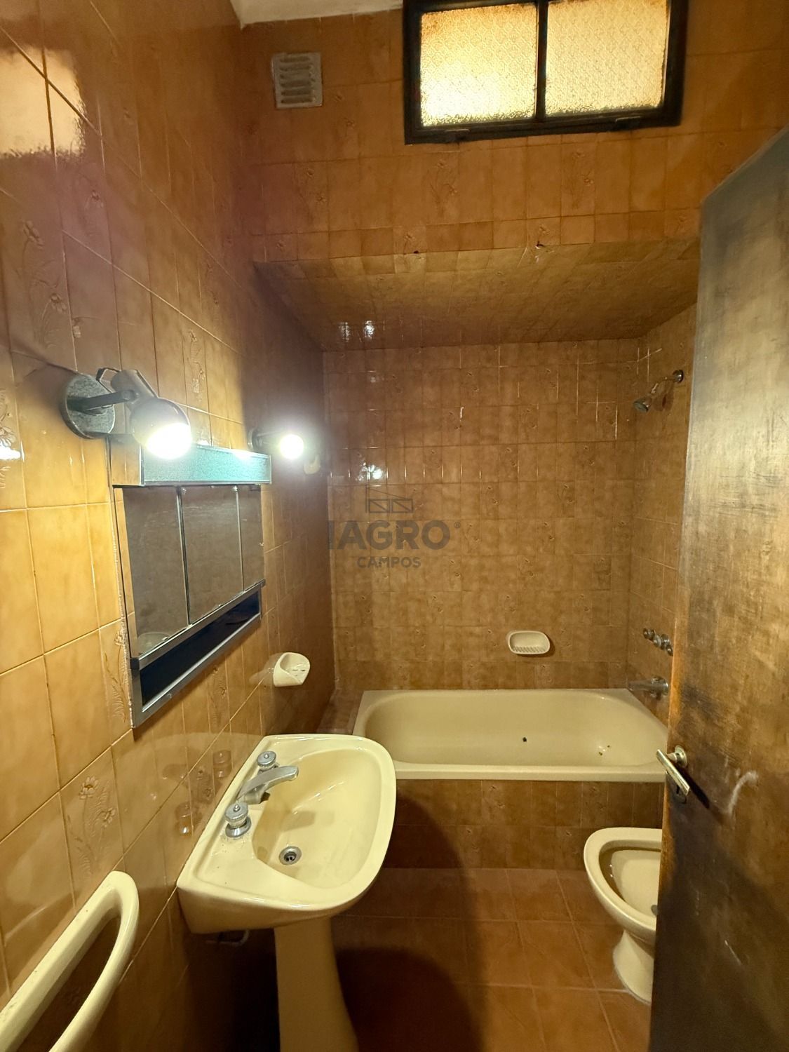 Galería de fotos #5