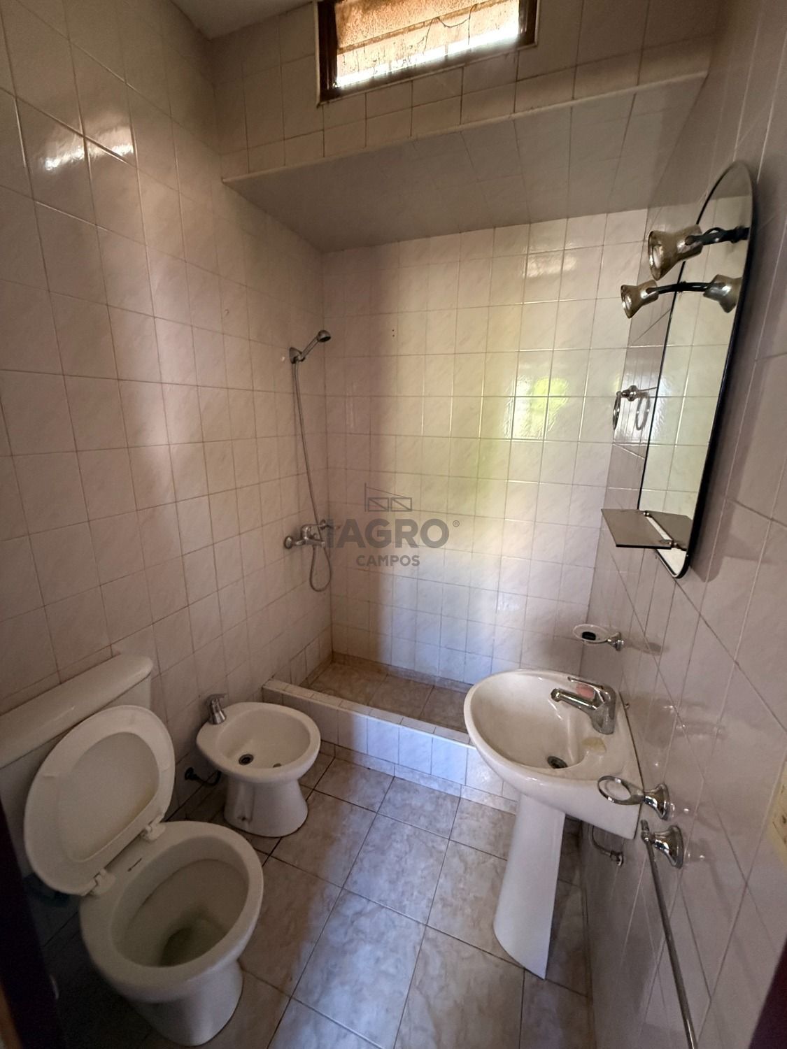 Galería de fotos #6