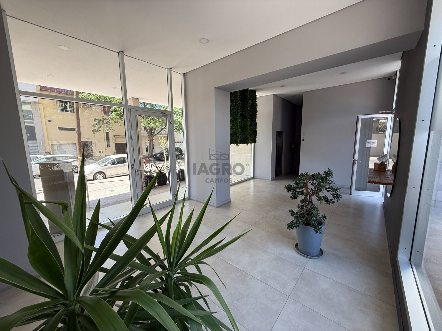 Galería de fotos #6