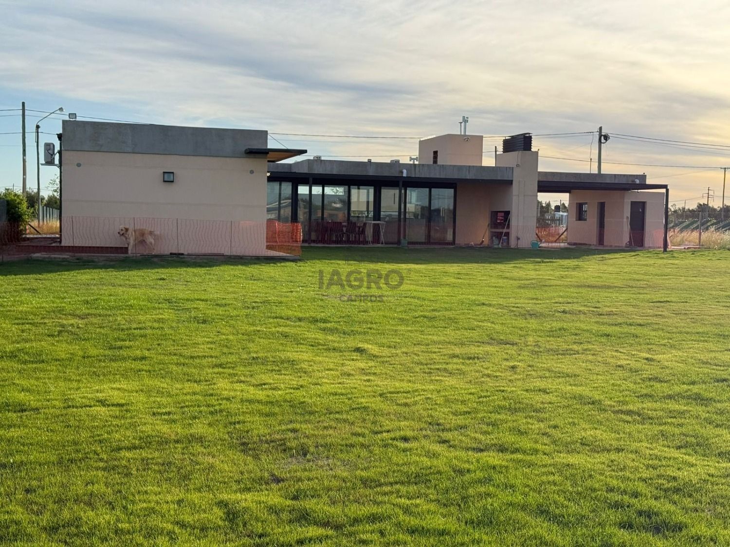 Galería de fotos #6