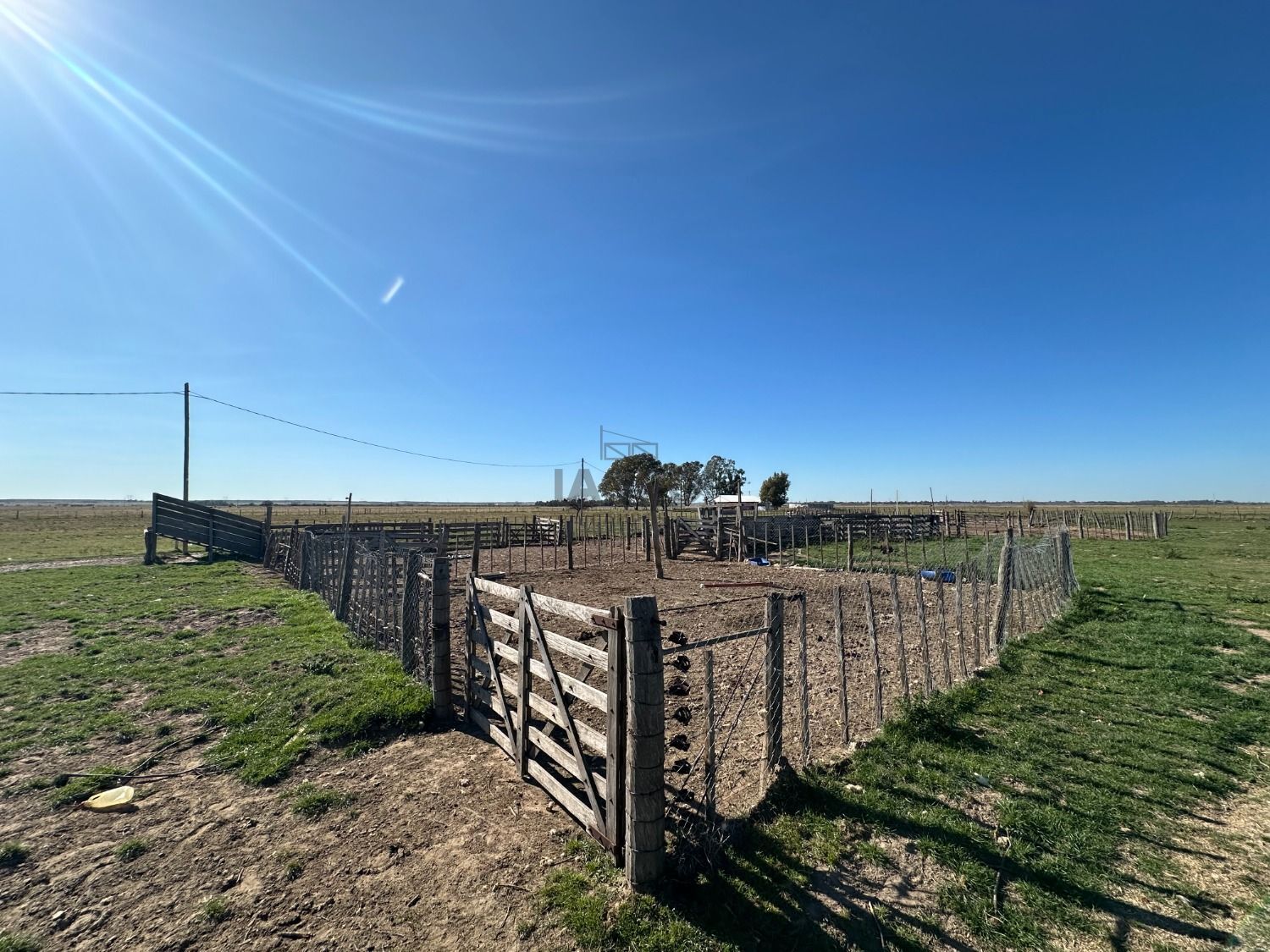 Galería de fotos #4