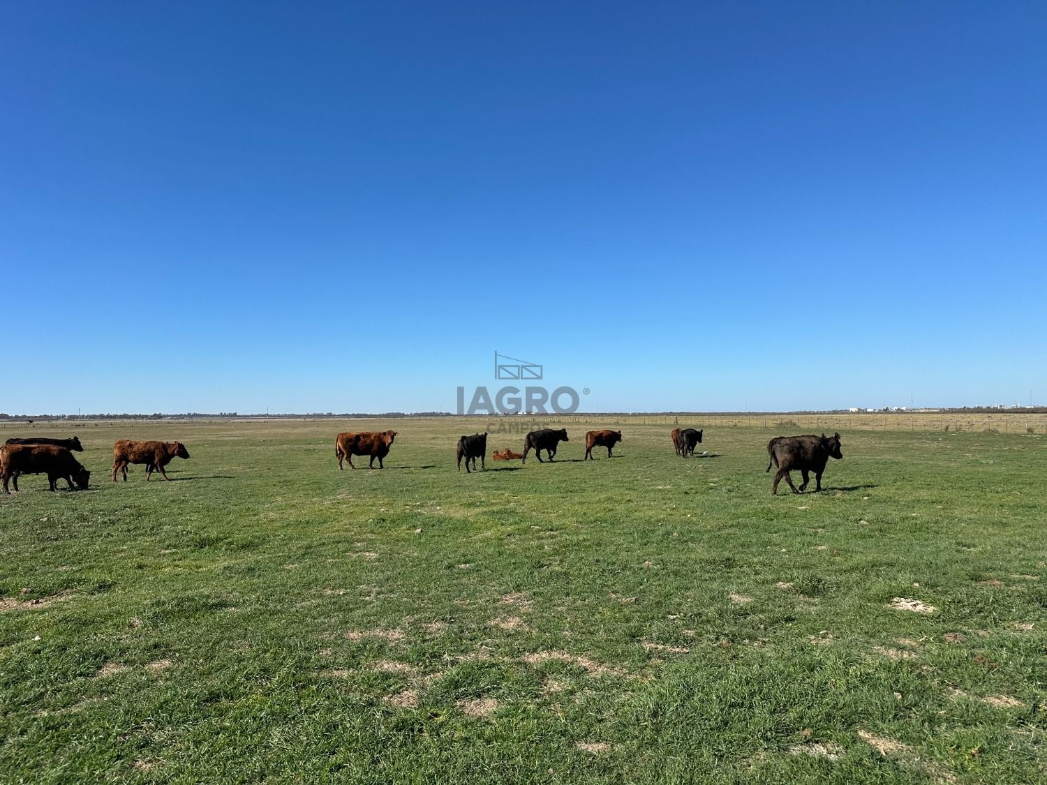 Galería de fotos #7