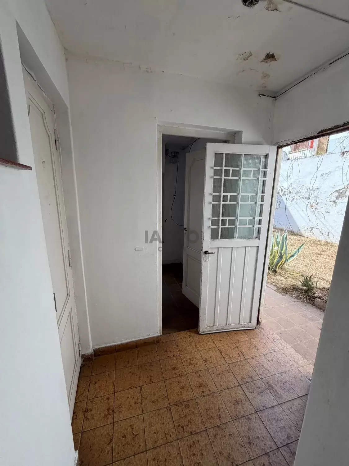 Galería de fotos #11