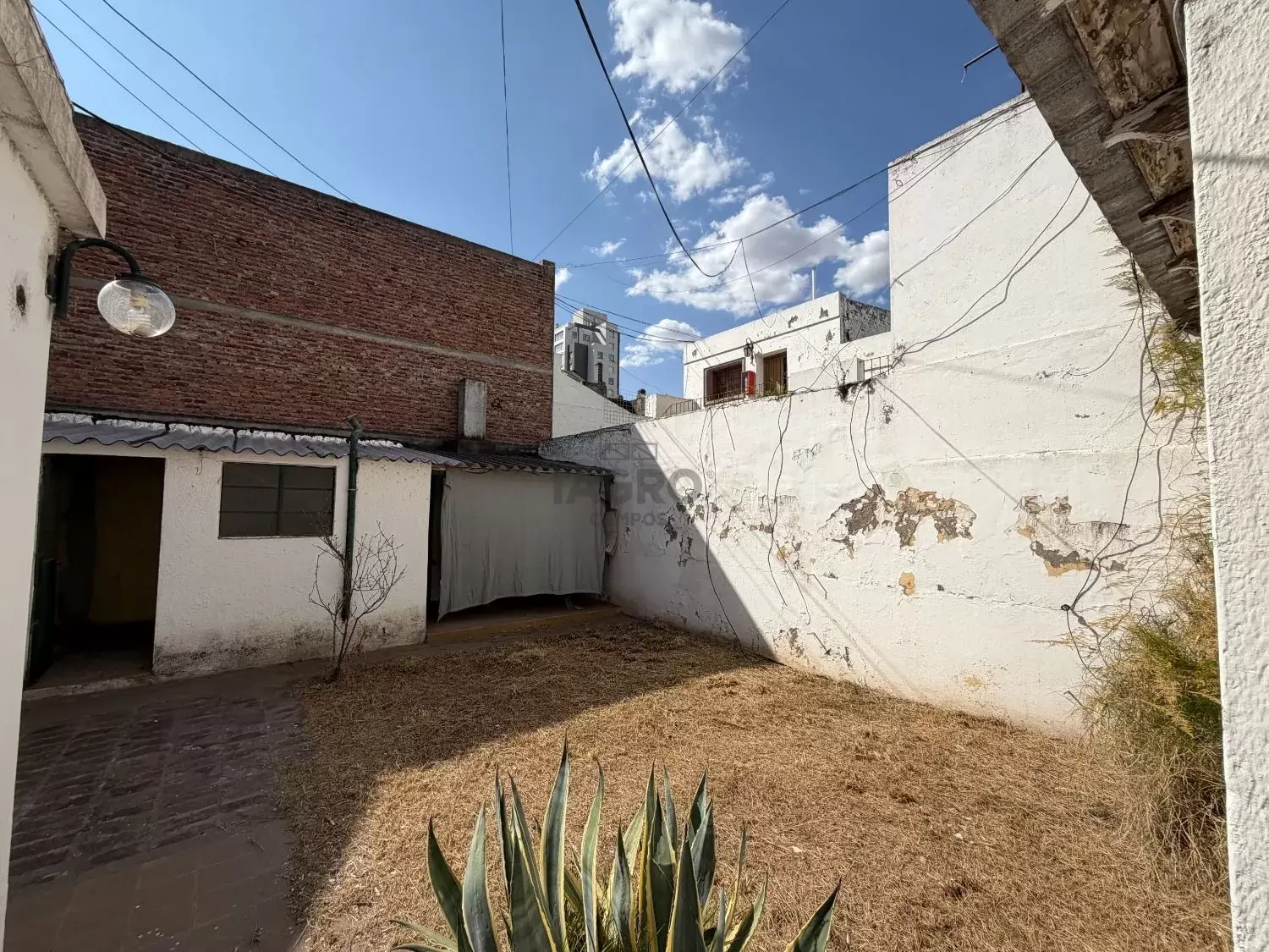 Galería de fotos #14