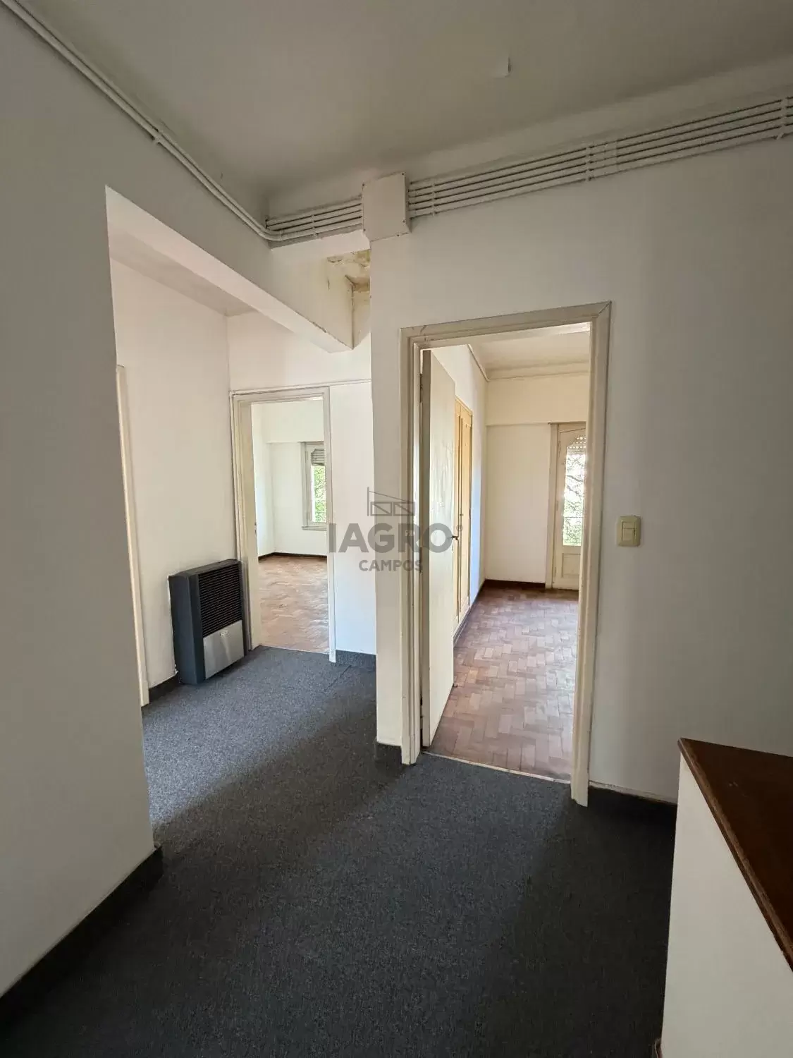 Galería de fotos #16