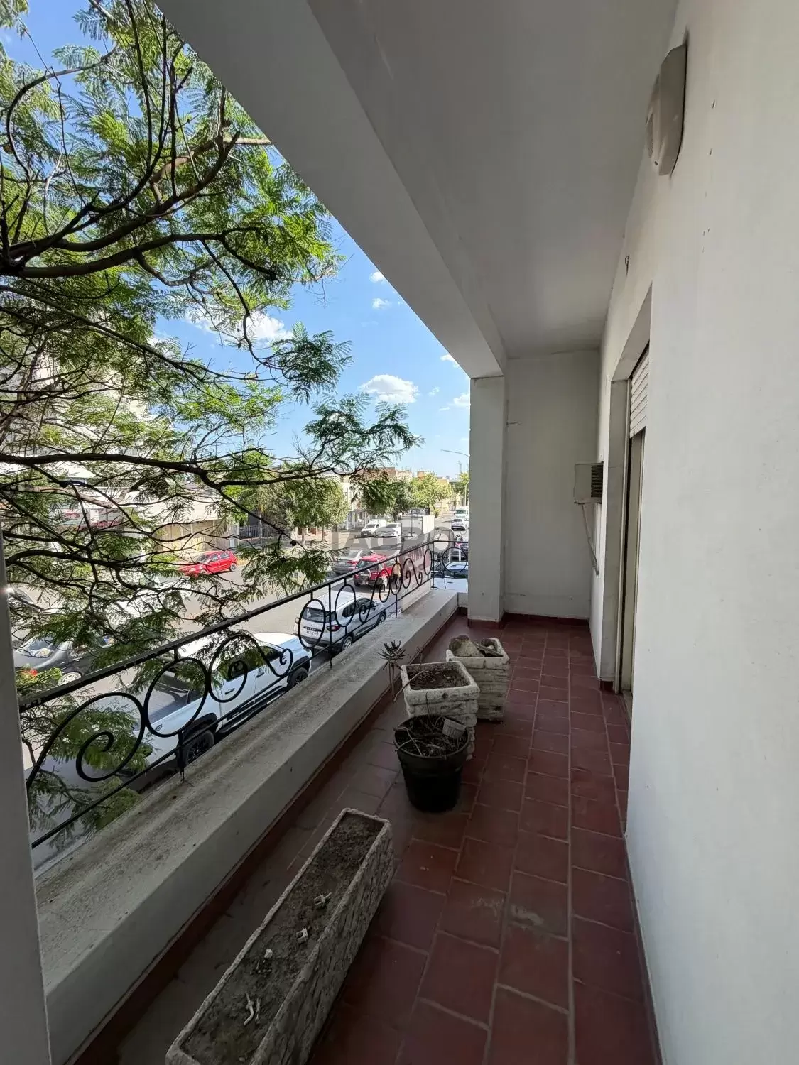 Galería de fotos #18