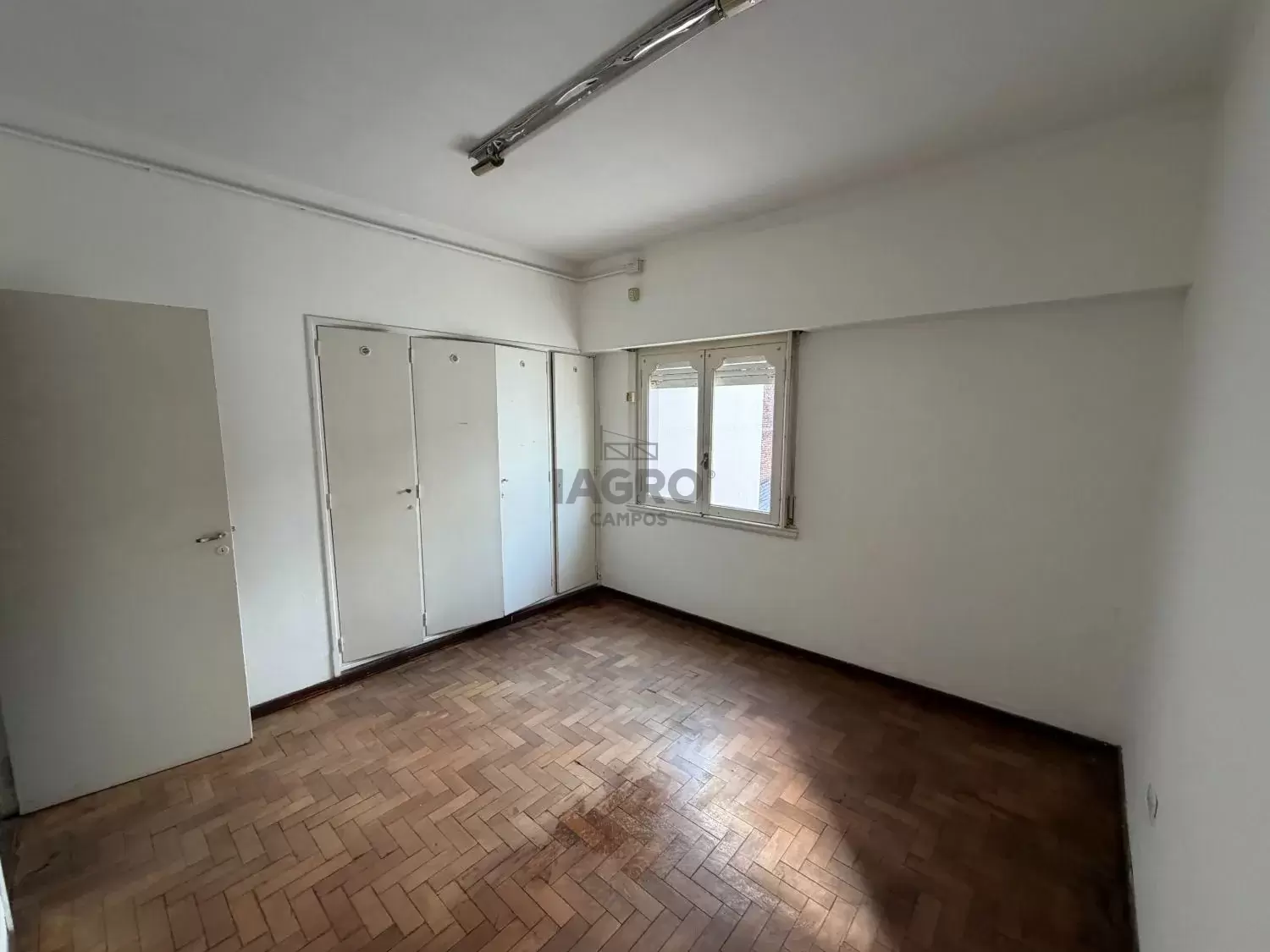 Galería de fotos #20