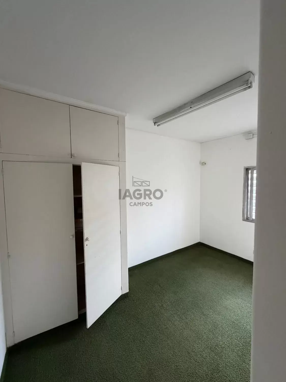 Galería de fotos #22