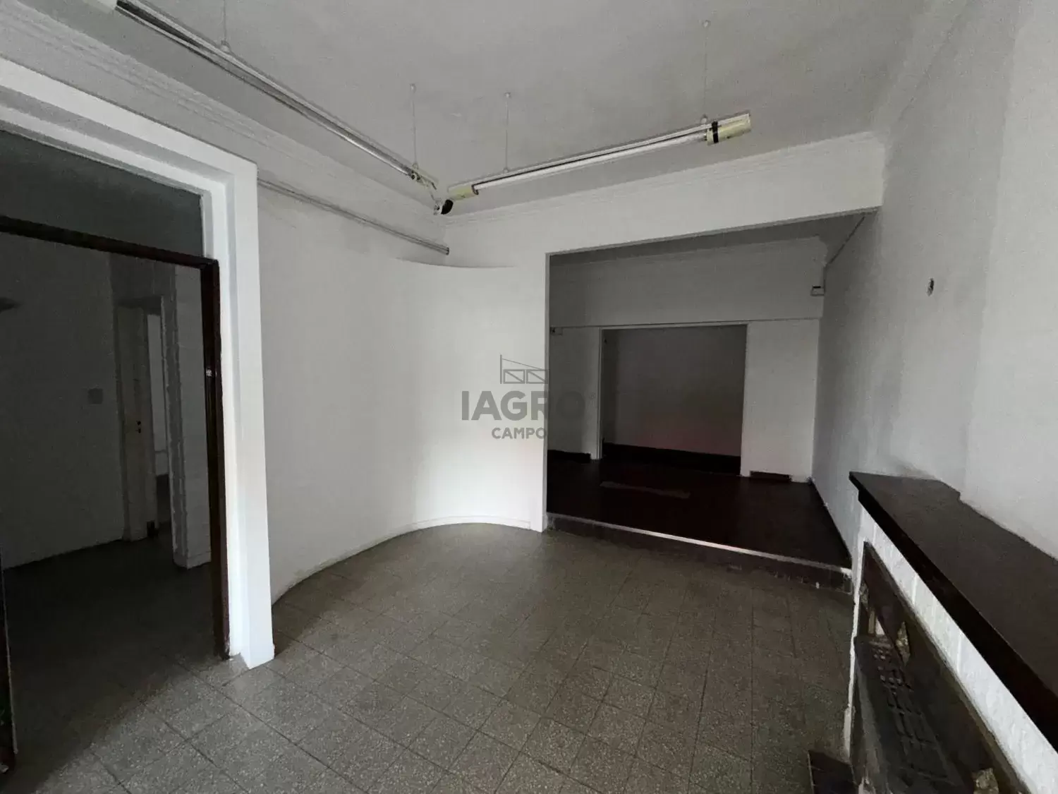 Galería de fotos #4