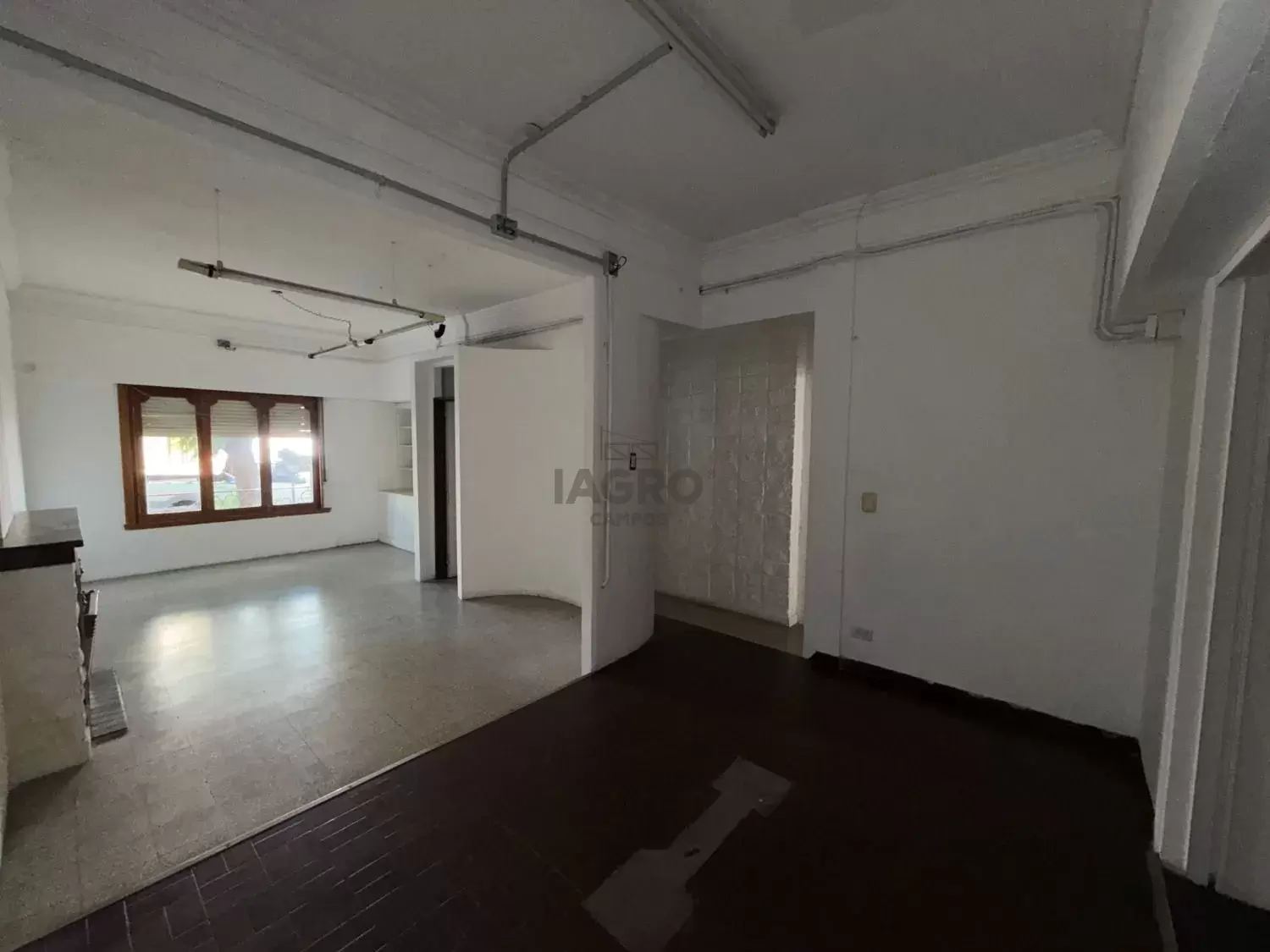 Galería de fotos #5