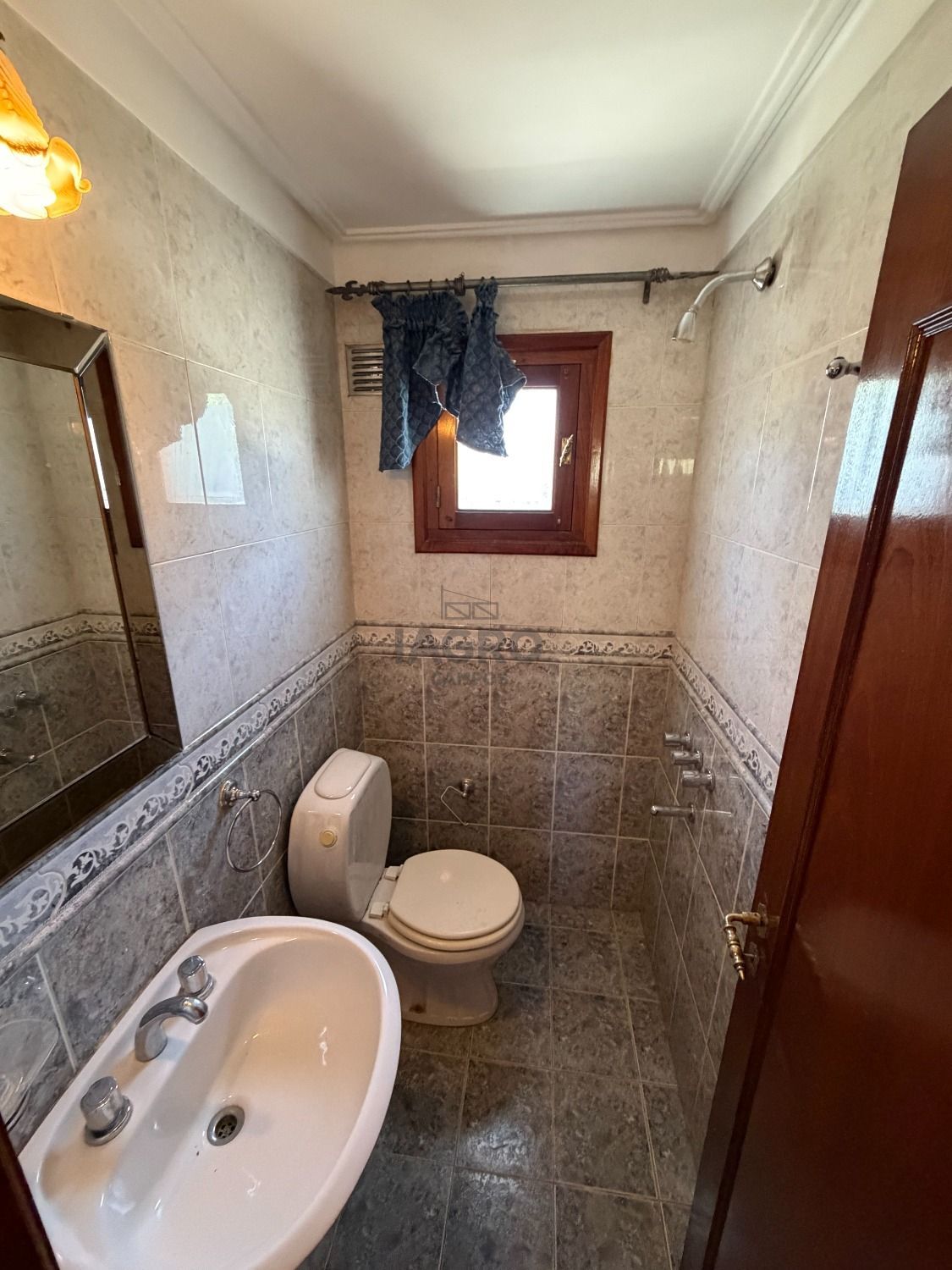 Galería de fotos #15