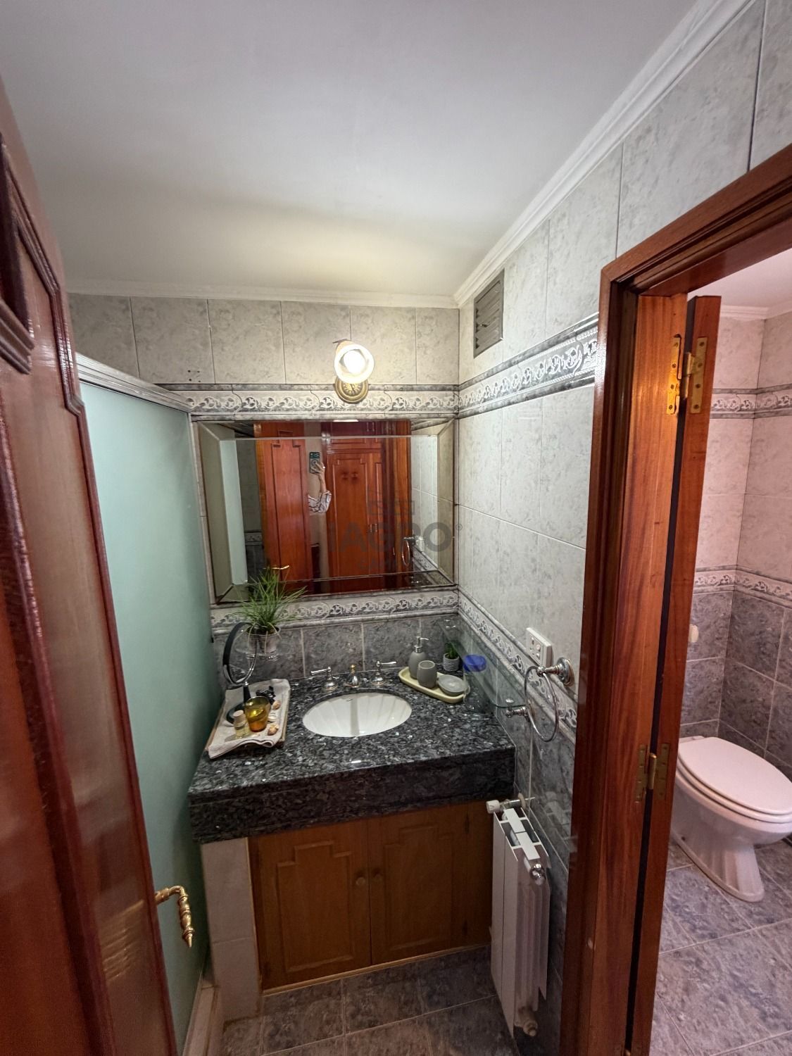 Galería de fotos #19